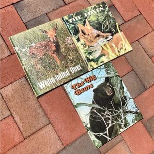 3 1973 Ranger Rick Books Foxes Bears Cubs White Tailed Deer Forest Animals Woods